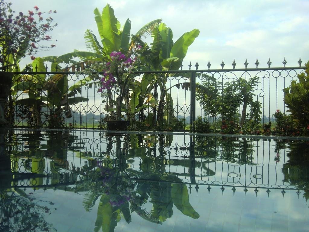 Devi's Place 2* Ubud